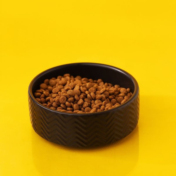 Сухой корм для стерилизованных кошек Суперпремиум, веганский, сыроедный, беззерновой, 1 кг.